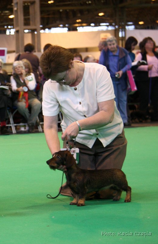 Crufts2010 791.jpg